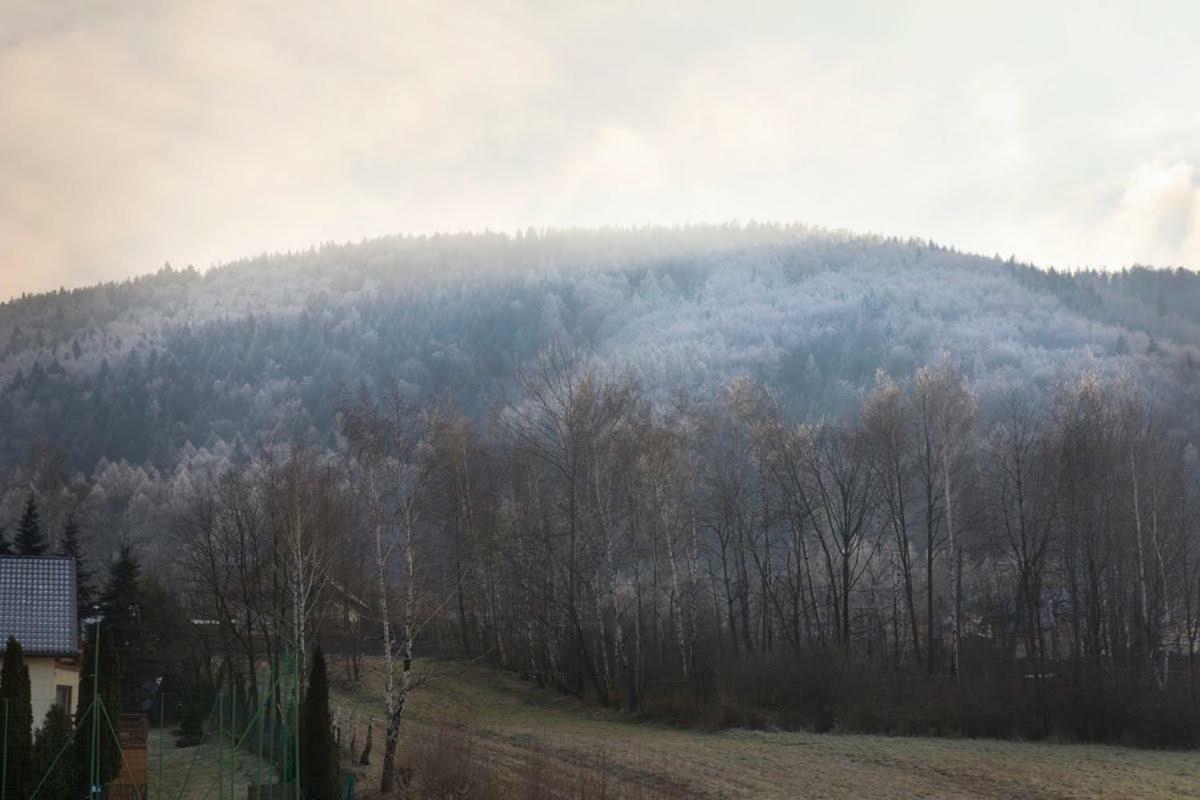 Noclegi Na Bukowym Stoku Czaniec Zewnętrze zdjęcie